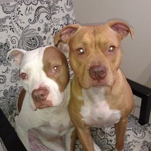 Meet your Posher, Nykole